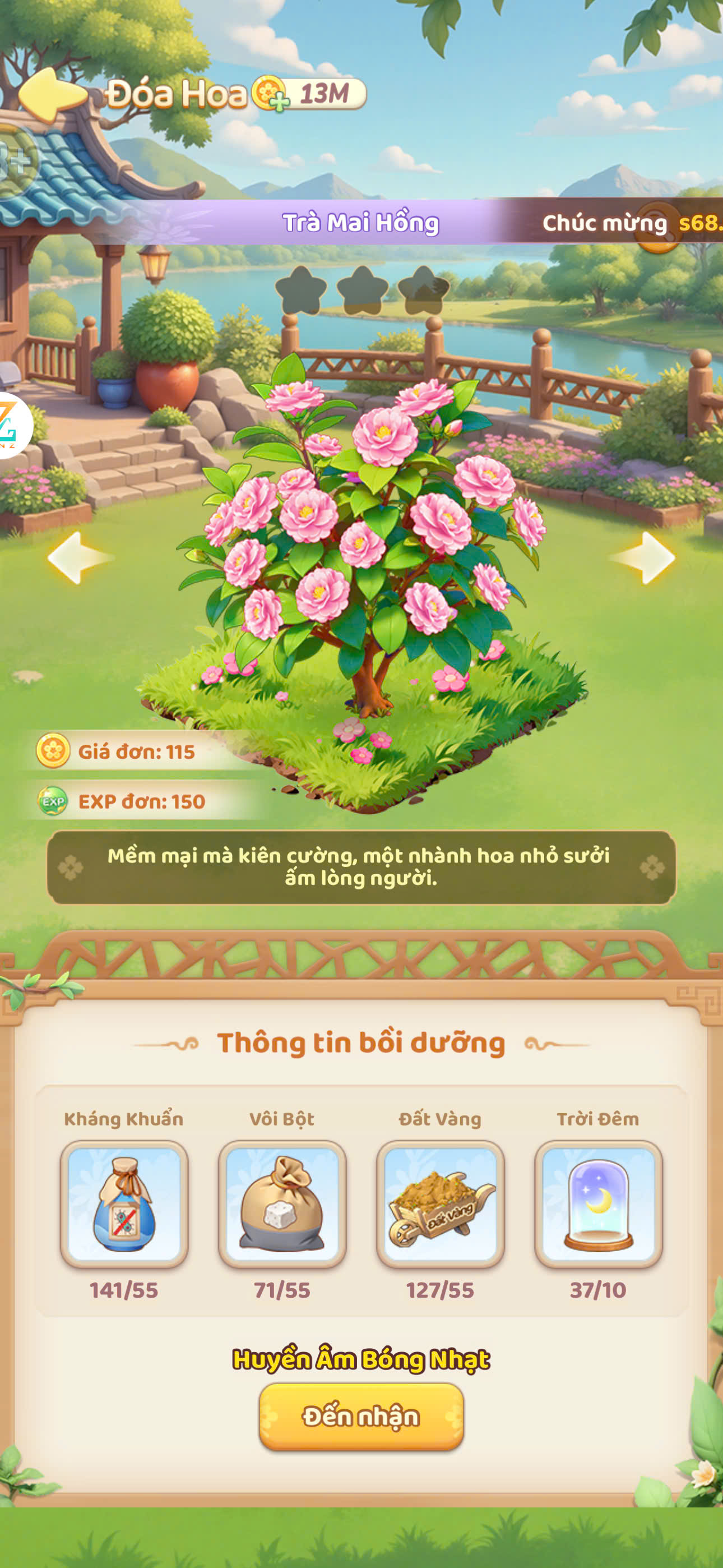Trà Mai Hồng