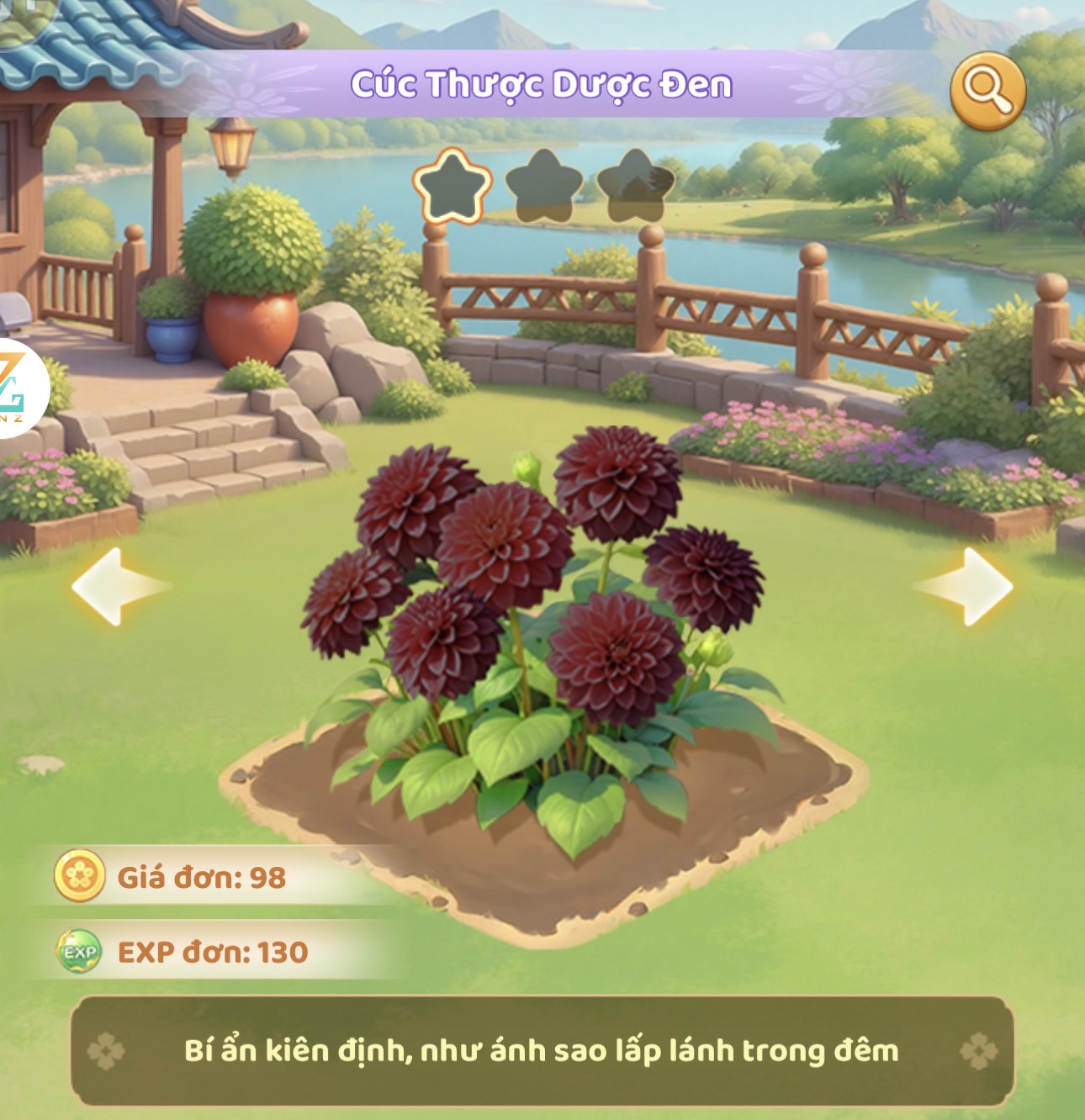 Thược dược đen