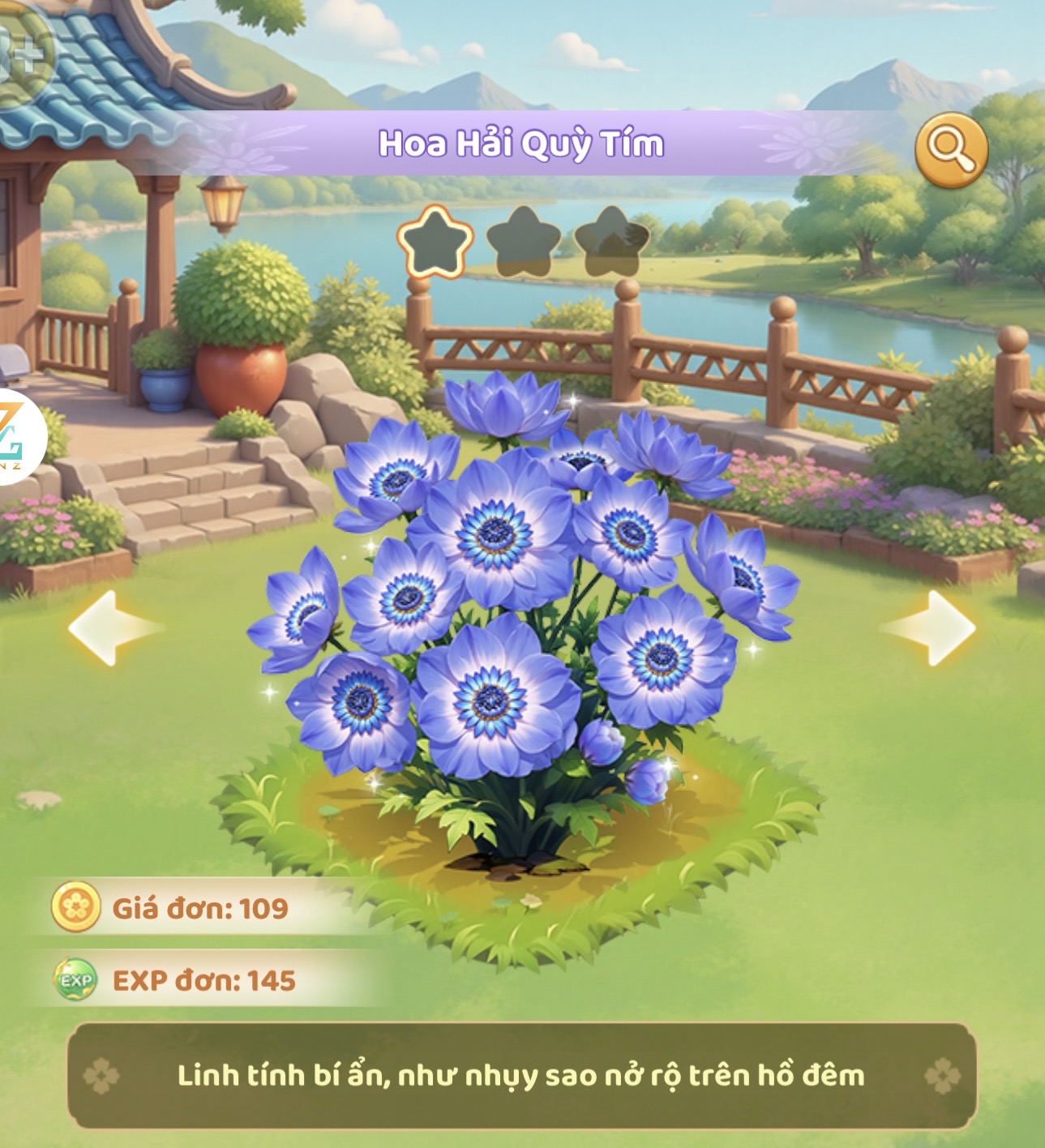 Hoa hải quỳ tím