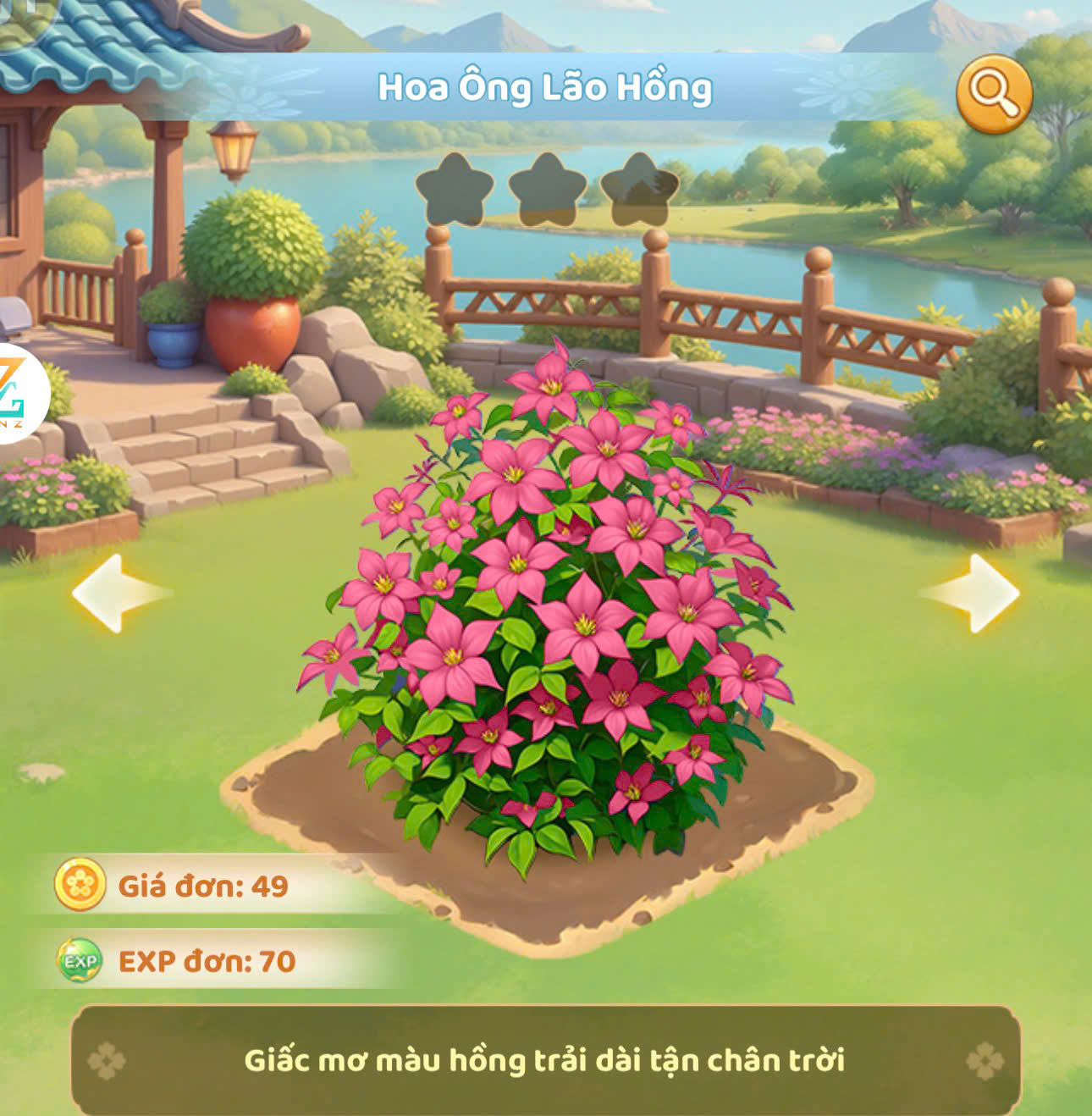 Hoa ông lão hồng