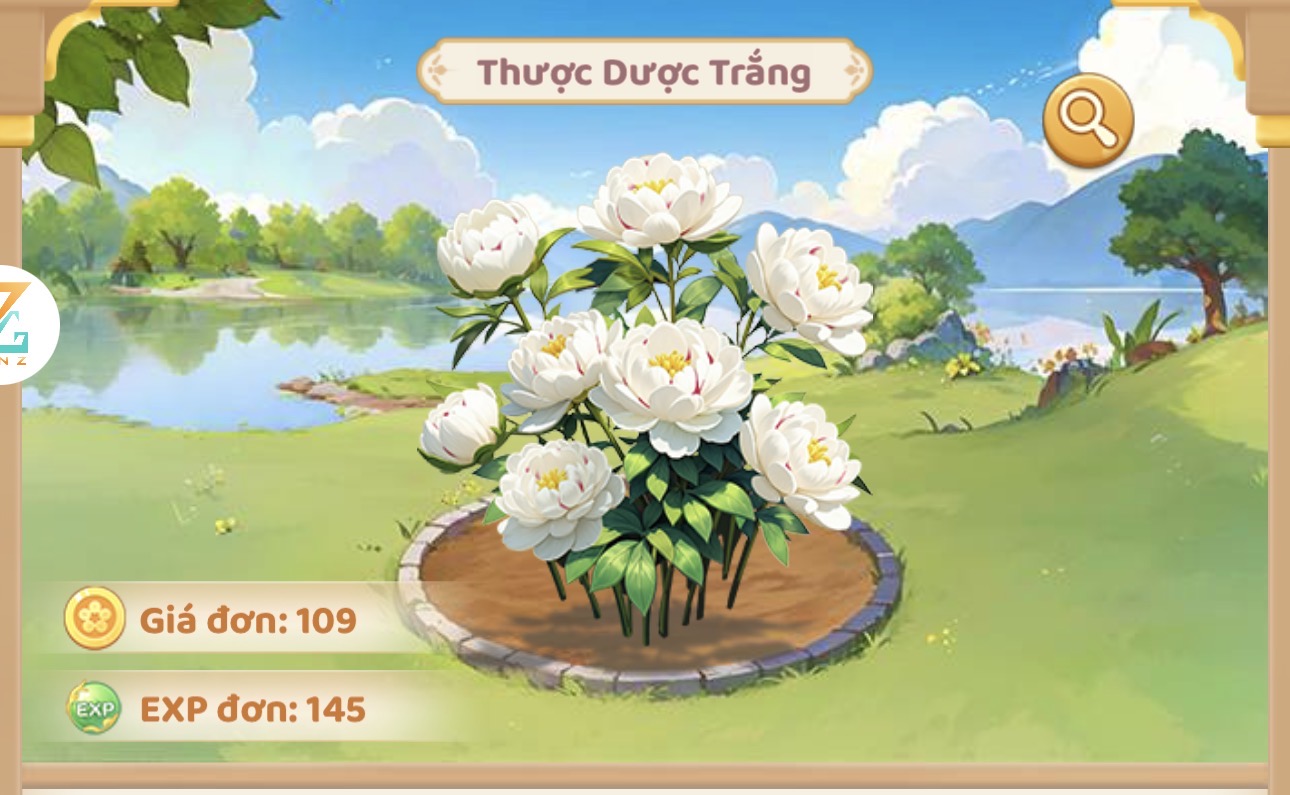 Thược dược trắng