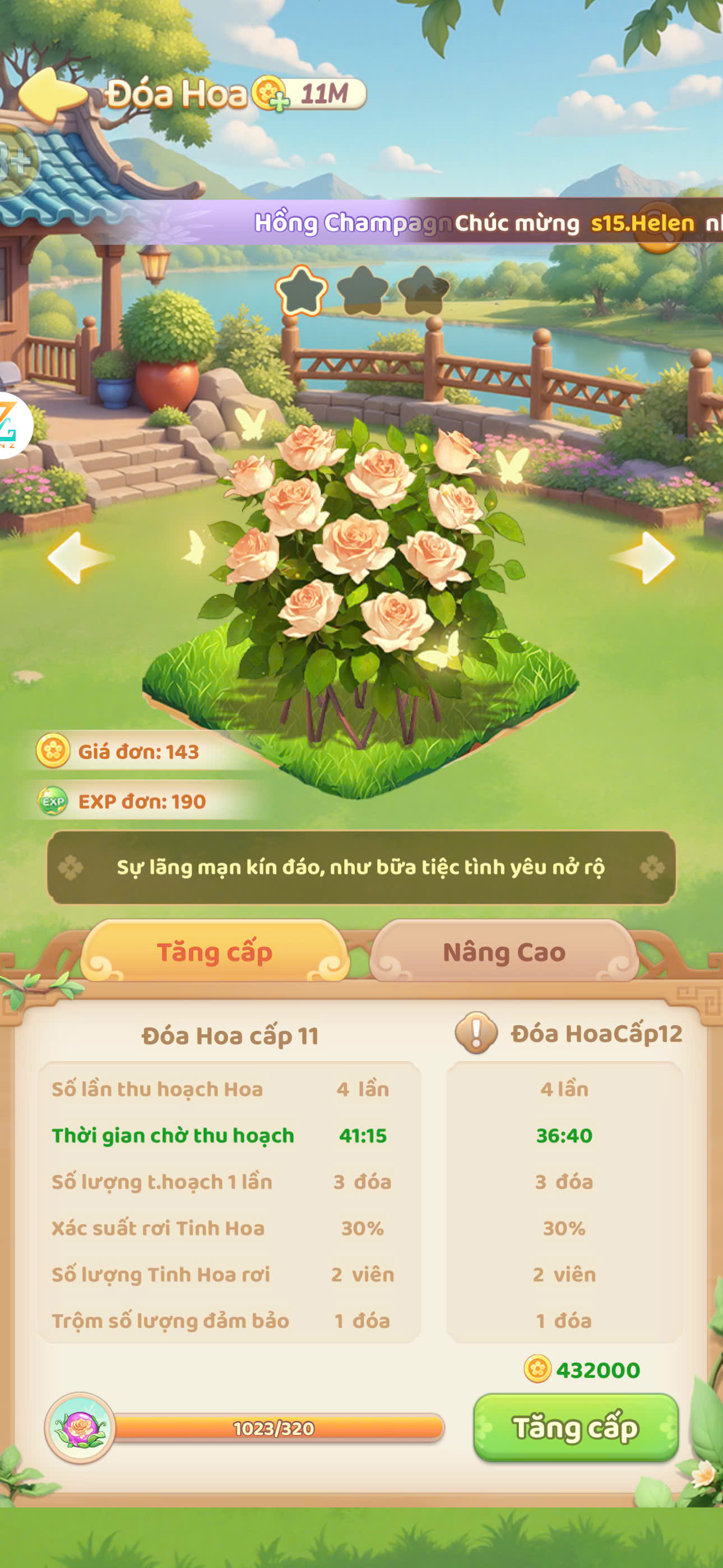 Hồng champagne