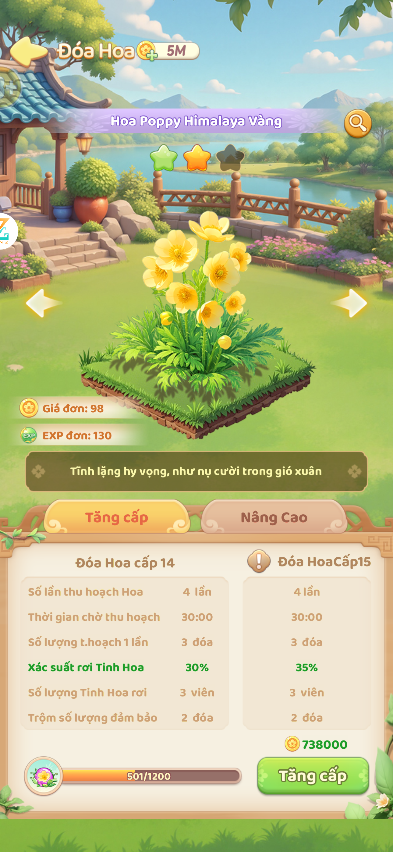 Poppy Hima Vàng