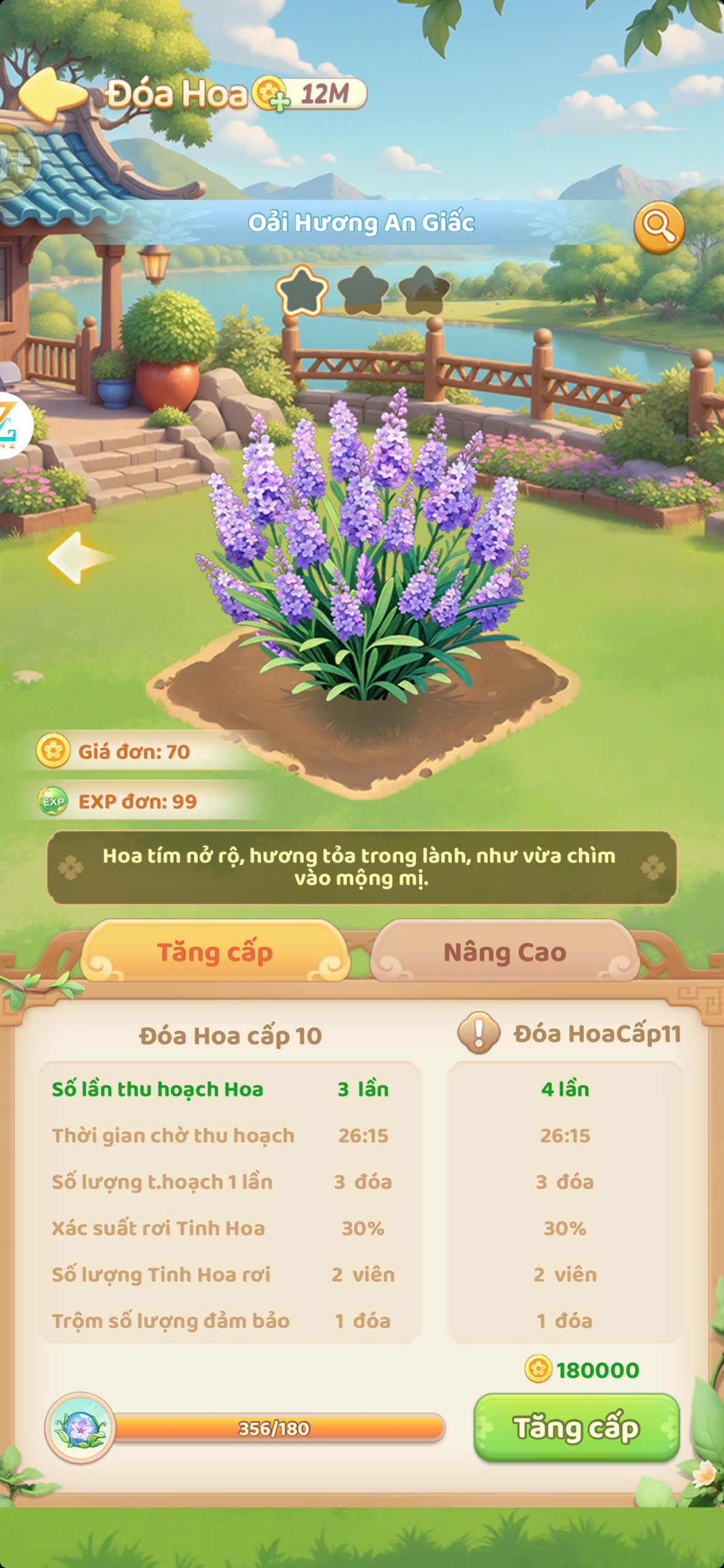 Oải hương an giấc