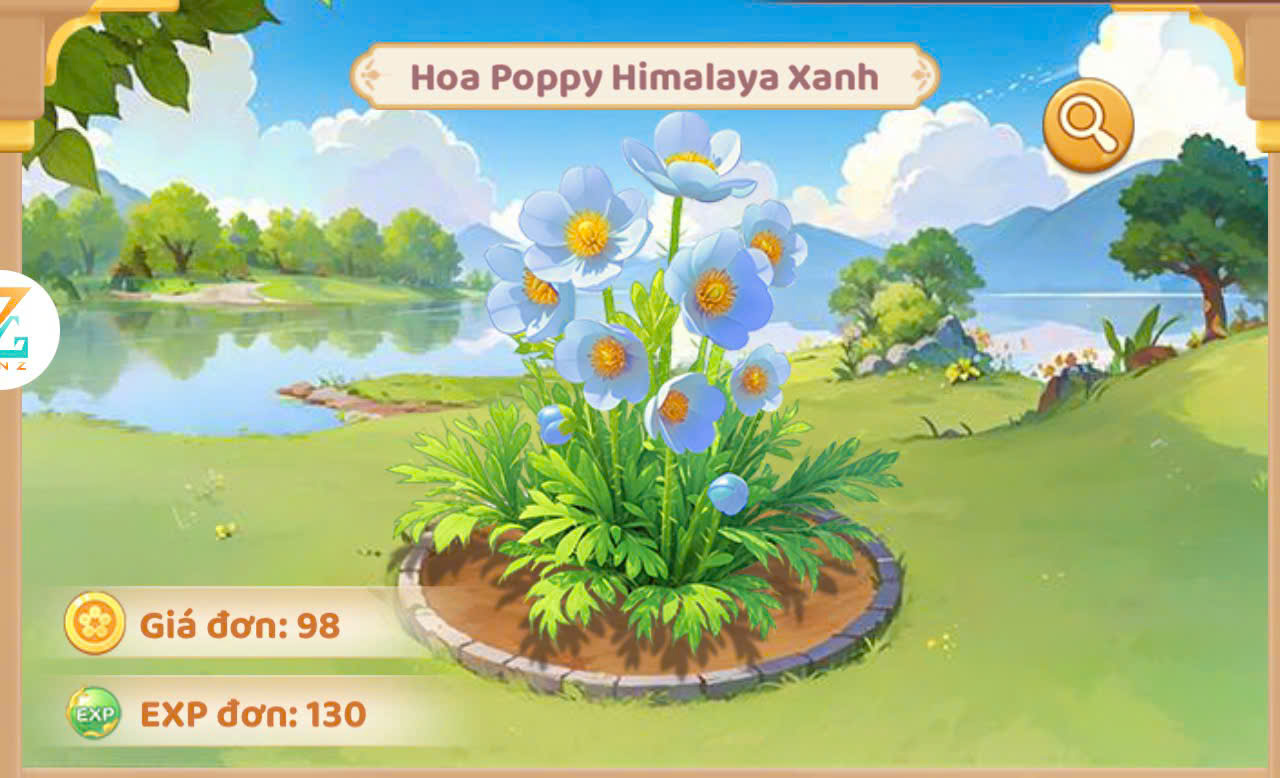 Hoa poppy Himalaya Xanh