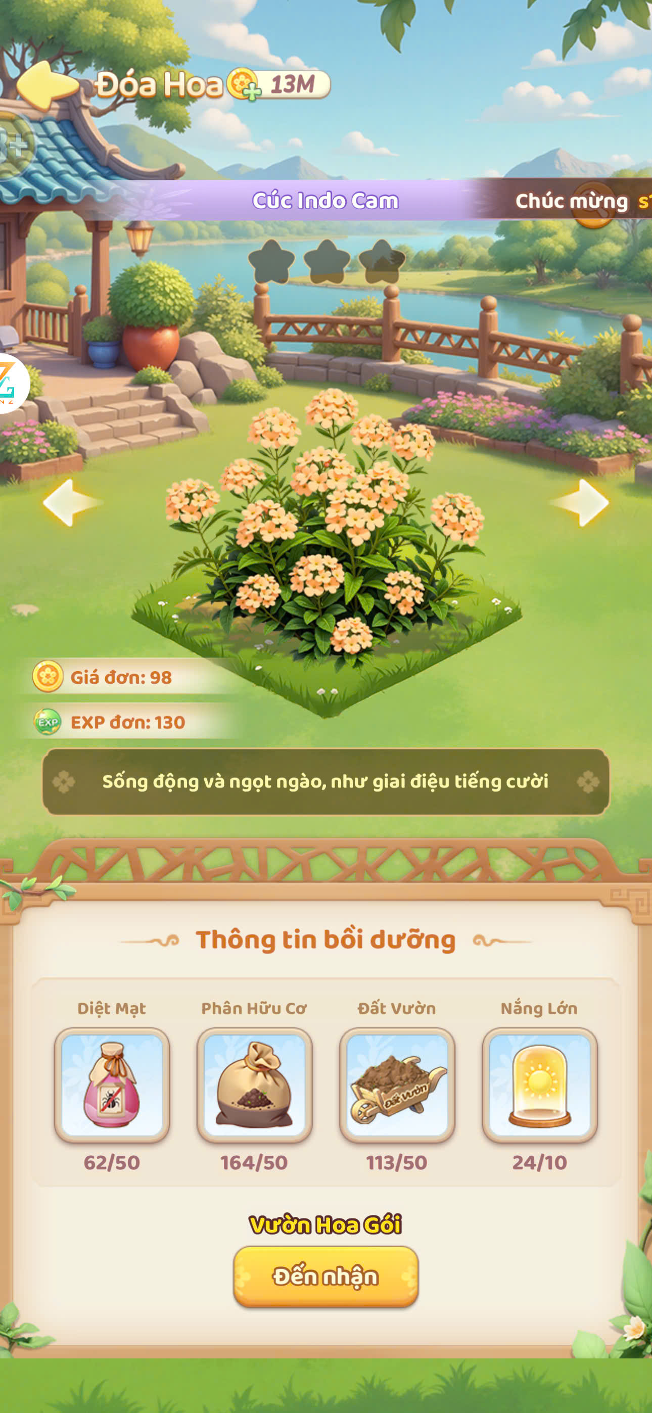 Cúc indo Hồng