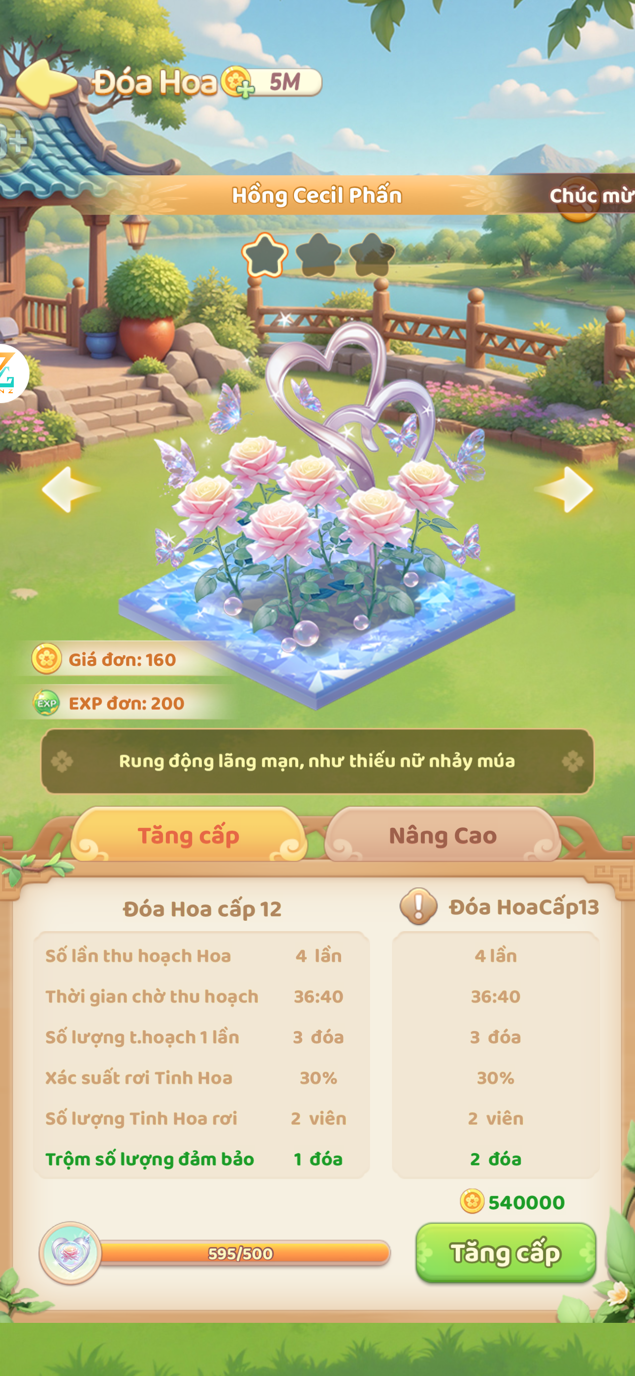 Hồng Cecil Phấn