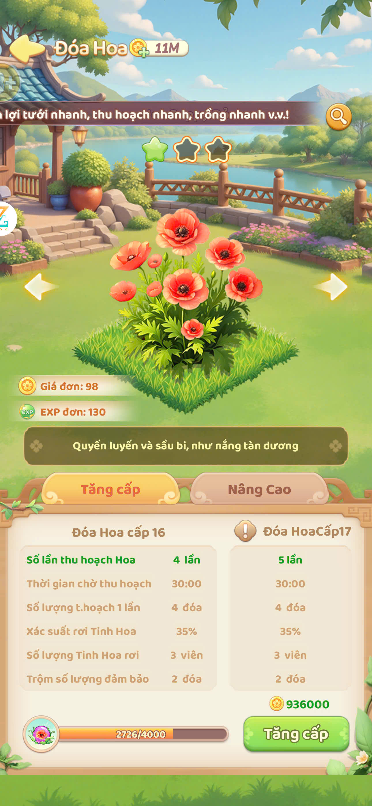 Hoa Poppy Đỏ