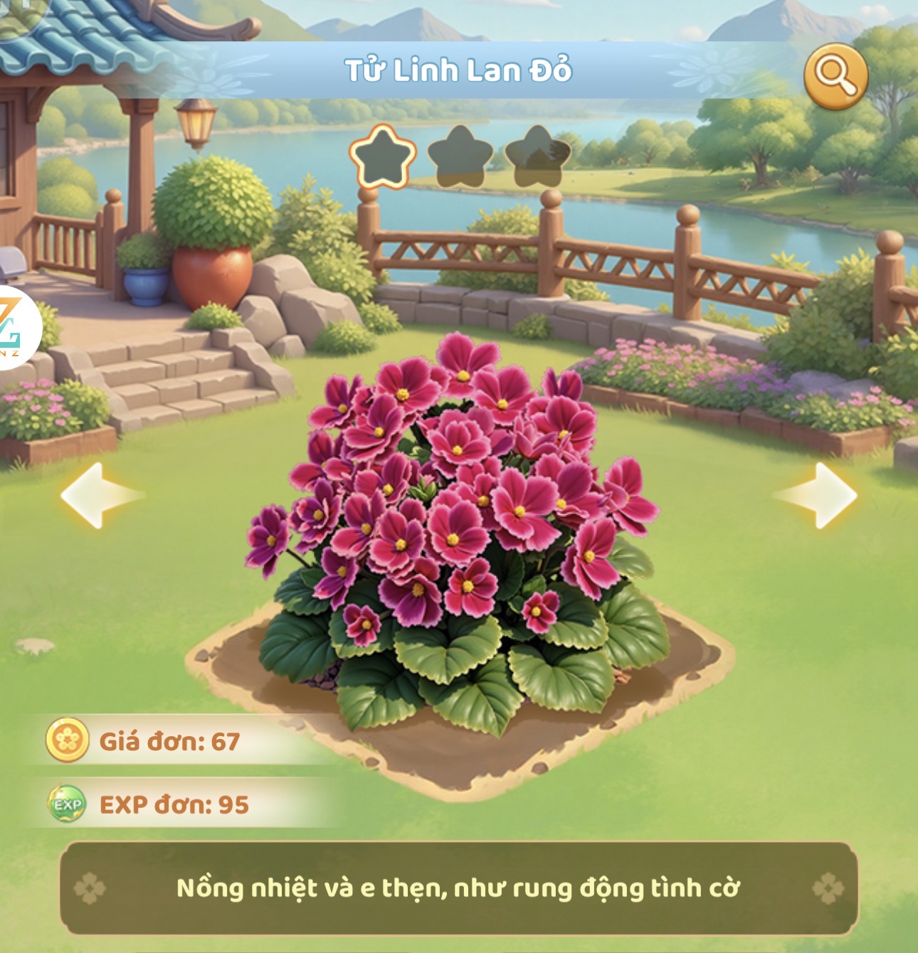Tử linh lan đỏ